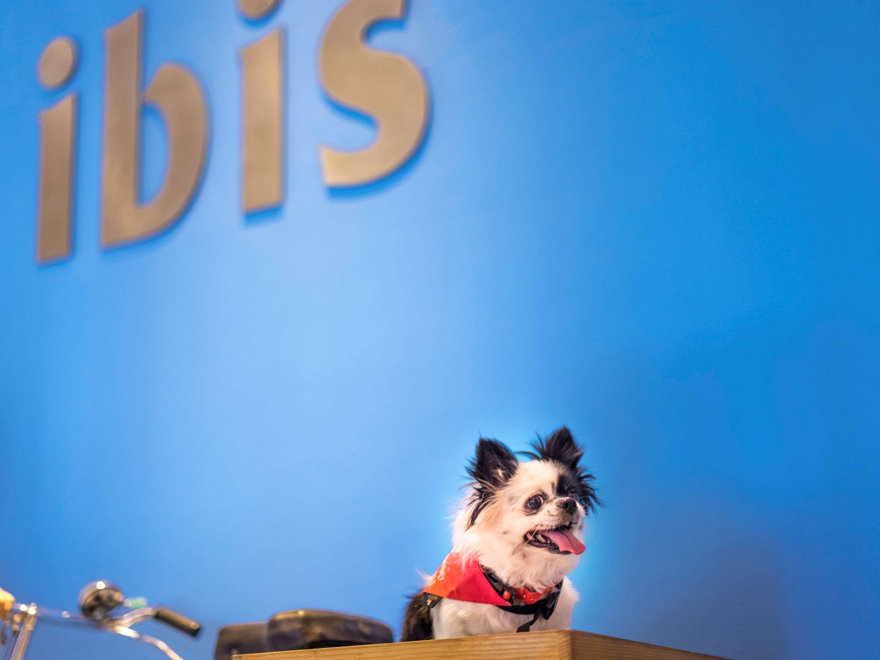 فندق Ibis Chennai Omr - An Accor Brand المظهر الخارجي الصورة